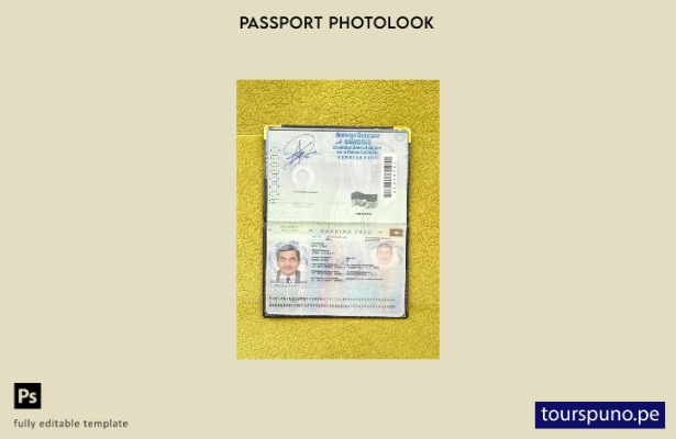 lista para imprimir plantilla de aspecto fotográfico del pase de Burkina Faso ( 